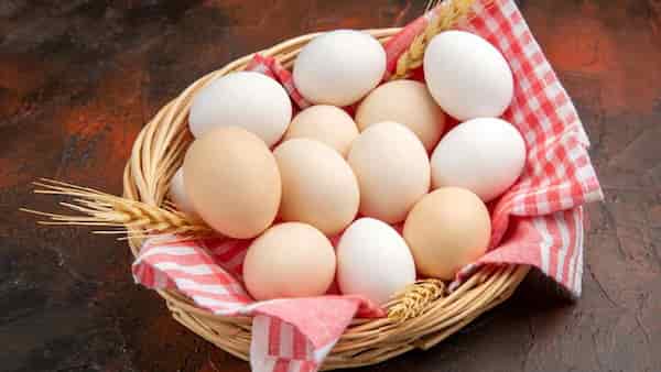 تصویر 5 از قیمت خرید تخم مرغ محلی شرکتی + فروش ویژه